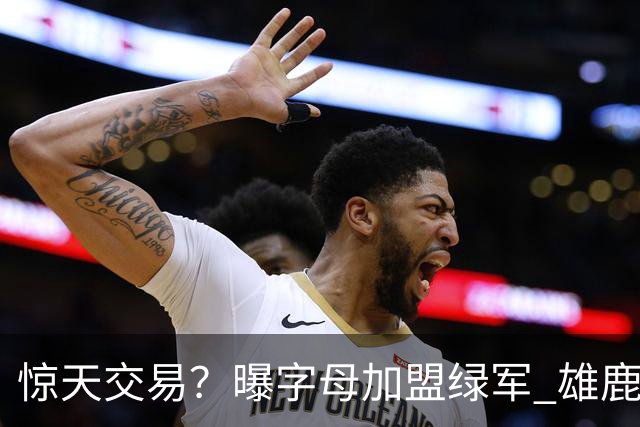 惊天交易？曝字母加盟绿军 雄鹿为布朗寻找第三方